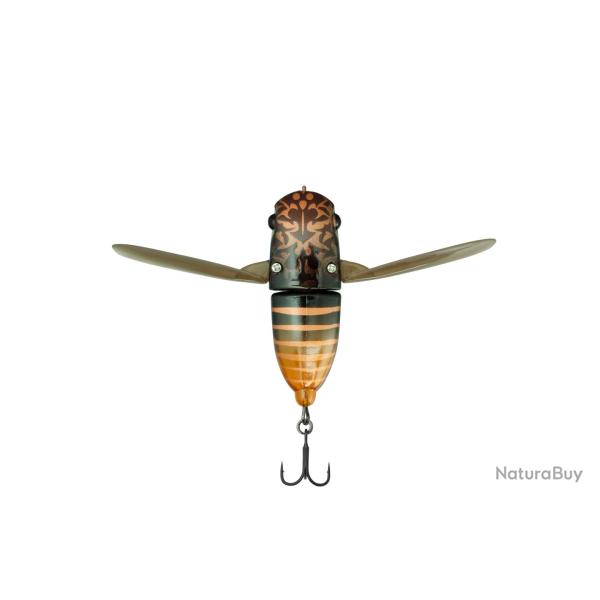 Suisen Lake Nojiri Spring Cicada