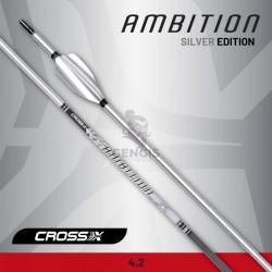 6 Fl&egrave;ches en Carbone Cross-X Ambition Silver avec Plumes XS Wing 800