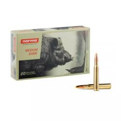 MUNITIONS NORMA 30-06 SPRG 180GR PPDC PLASTIC POINT X20