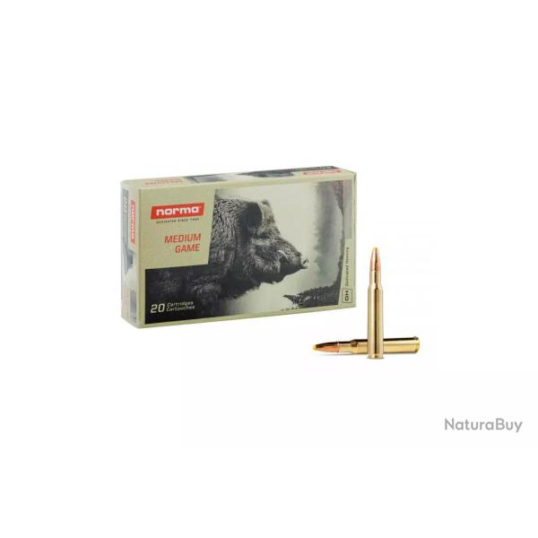 MUNITIONS NORMA 30-06 SPRG 180GR PPDC PLASTIC POINT X20