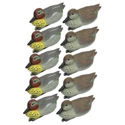 Pack 5 sarcelles m&acirc;les et 5 femelles