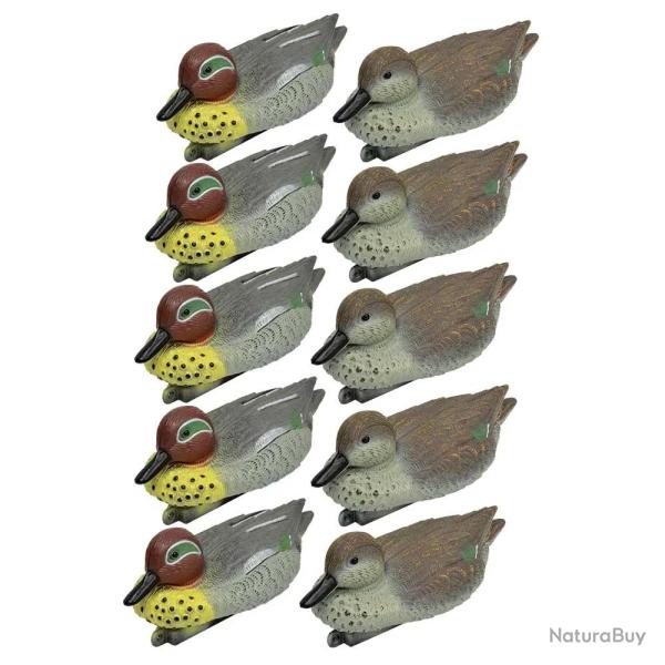 Pack 5 sarcelles m�les et 5 femelles