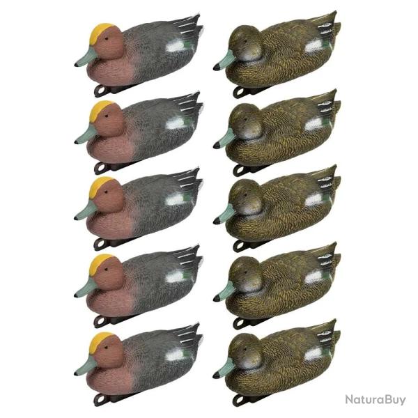 Pack 5 siffleurs m�les et 5 femelles