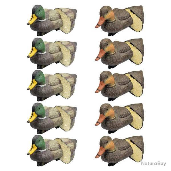 Pack 5 colverts m�les et 5 femelles mouss�s