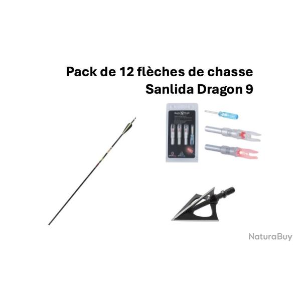 Pack de 12 fl�ches Sanlida Dragon 9 + encoches lumineuses + lames 300