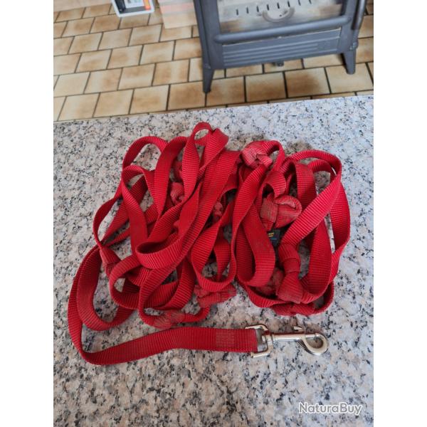 laisse pour gros chien