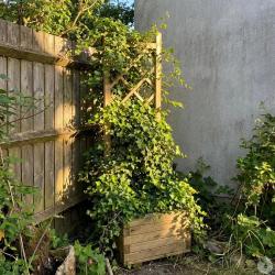 Bac &agrave; fleurs en bois avec treillis 40x31x140cm