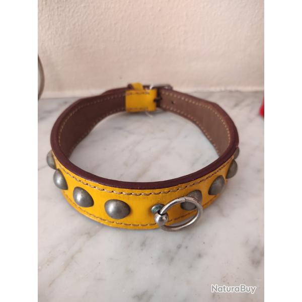 Ancien collier chien cuir   jaune moutarde tour cou maxi 43 cm cuir pais de qualit