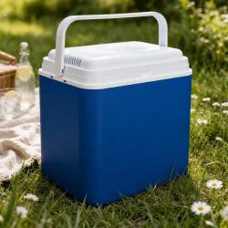 Glaci&egrave;re &eacute;lectrique polyvalente 12V 24L bleu 40x23x41