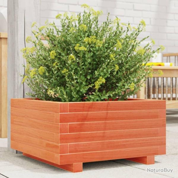Jardinire cire marron 50x50x26,5 cm bois de pin massif