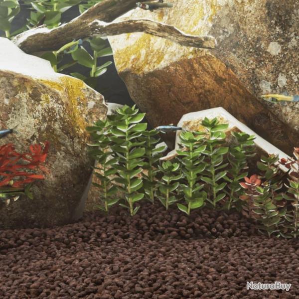 Roches volcaniques 25 kg rouge 1-2 cm