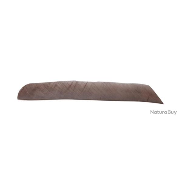 BUCK TRAIL - Plumes Naturelles Enti�res RH BROWN