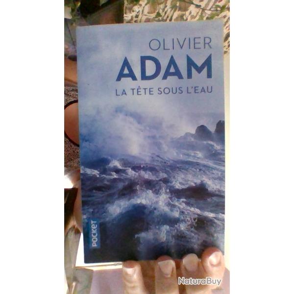 La tete sous l'eau par Olivier Adam - Pocket -