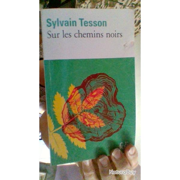 Sur les chemins noirs par Sylvain Tesson -Folio-