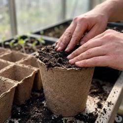 10 pots biod&eacute;gradables pour semis Progarden