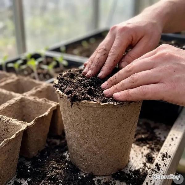 10 pots biod�gradables pour semis Progarden