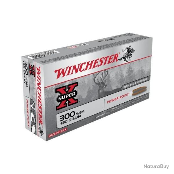 Munitions WINCHESTER calibre 300 WSM Power Point 180gr - 11.7g x20