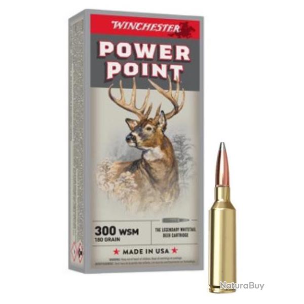 MUNITIONS WINCHESTER CALIBRE 300 WSM POWER POINT 180gr - 11.7g x20
