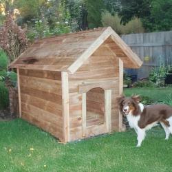 Niche XXL grand chien en pin autoclave 115&times;80&times;106 cm