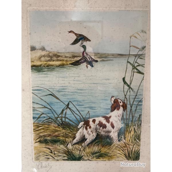 Lithographie originale Riab. �pagneul aux canards