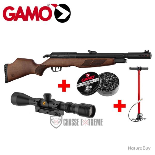 Pack GAMO Riser Punisher 40J Cal 5,5 mm+ Lunette 3-9x40 WR+ Pompe PCP Flex Arrow+ 250 Plombs Pro Mag