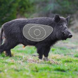 Blason 2D Ital Espanso Petit Sanglier