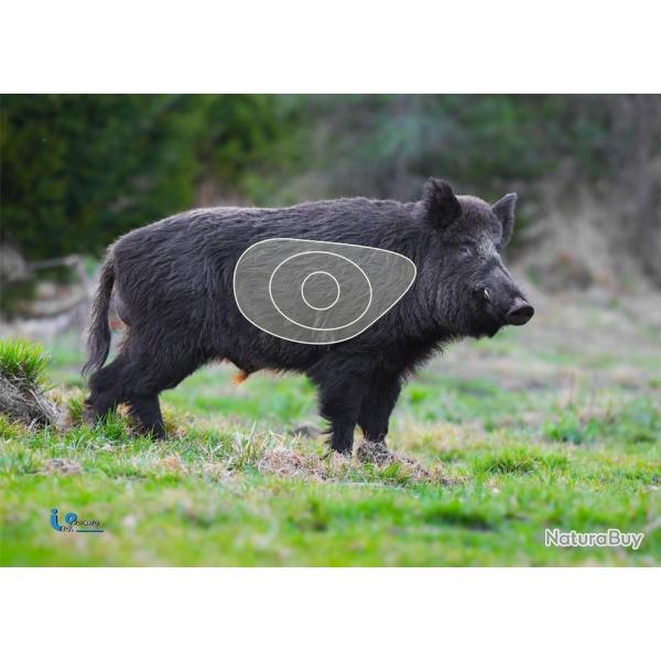 Blason 2D Ital Espanso Petit Sanglier