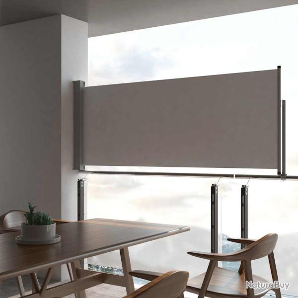 Auvent lat�ral r�tractable de patio 100 x 300 cm Gris