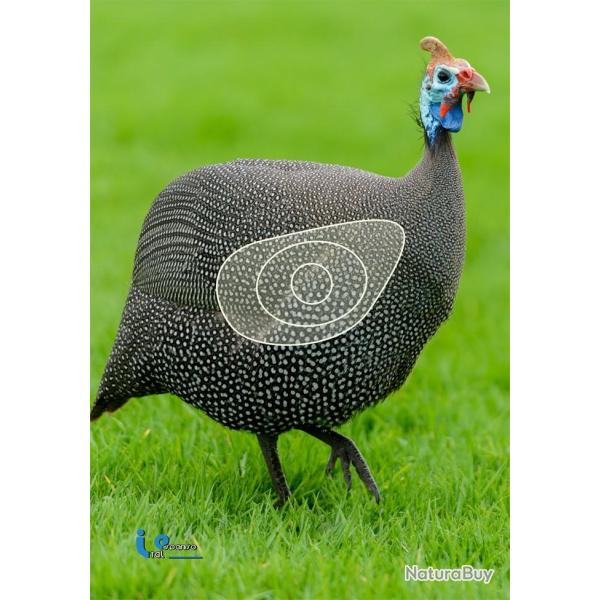 Blason 2D Ital Espanso Pintade