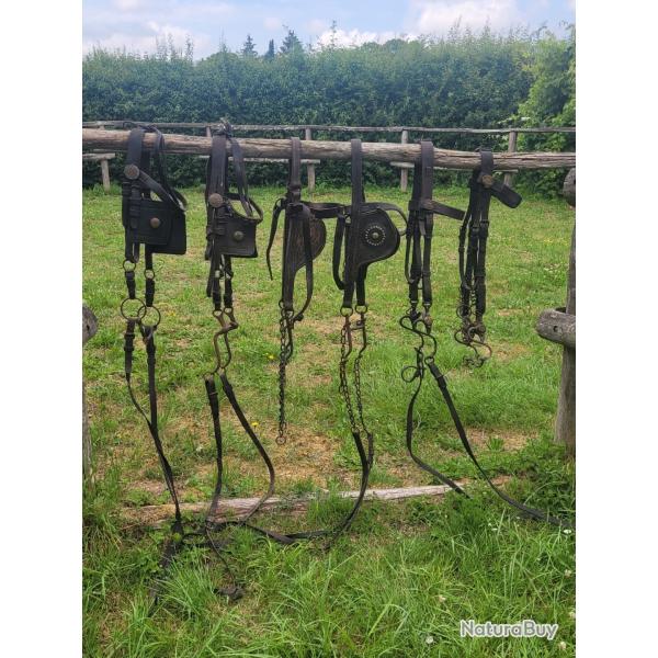 Lot bride artillerie  cavalerie US-France-AEF WW1