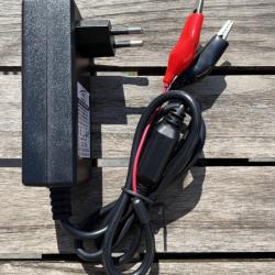 Bat4boat Chargeur 3A pour batterie 12V LiFePo4 pinces