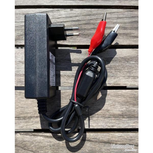Bat4boat Chargeur 3A pour batterie 12V LiFePo4 pinces