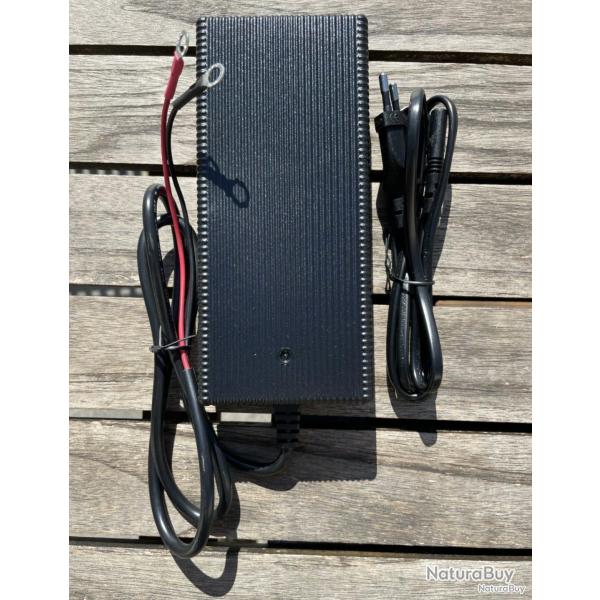 Bat4boat Chargeur 8A pour batterie 12V LiFePo4 cosses M8