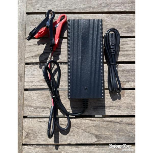 Bat4boat Chargeur 8A pour batterie 12V LiFePo4 pinces