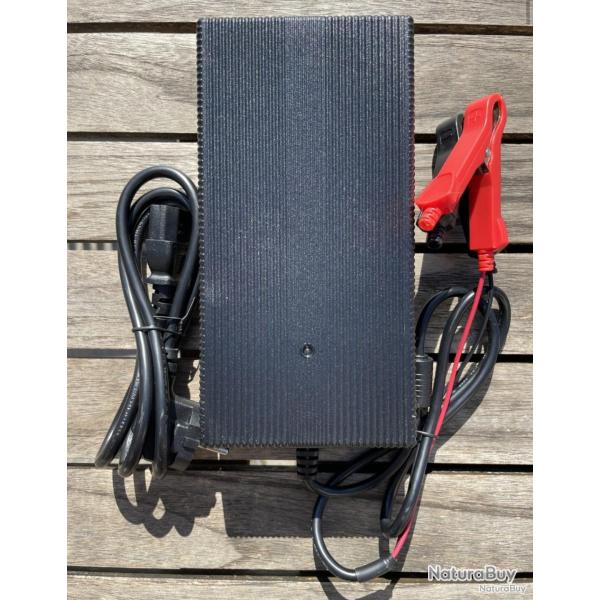 Bat4boat Chargeur 8A pour batterie 24V LiFePo4 pinces