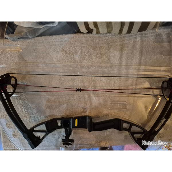 Arc a poulie ek archery