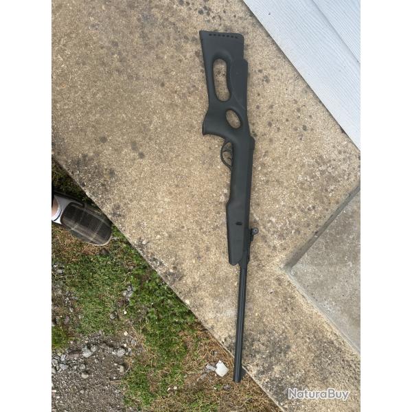 Carabine � plombs  gamo