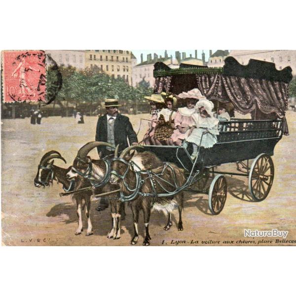 Carte Postale Ancienne - Lyon, La voiture aux ch�vres, place Bellecour -N� 3039