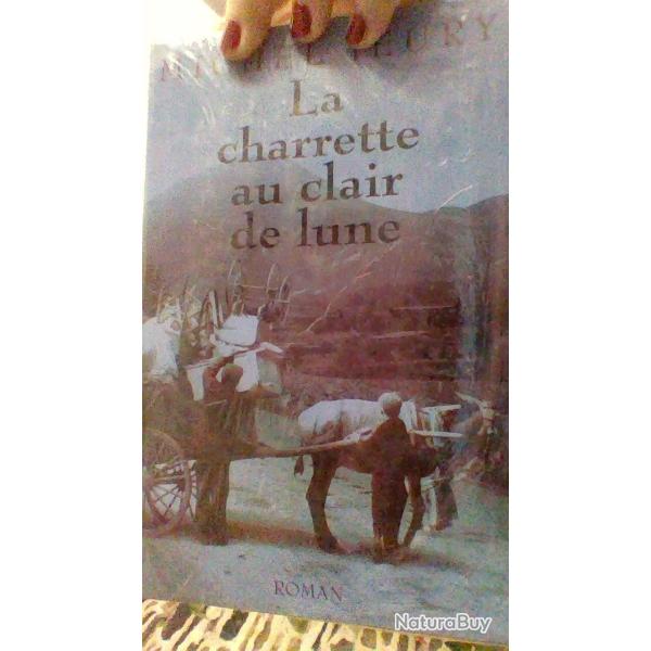 La charrette au clair de lune par mIchel Jeury  -