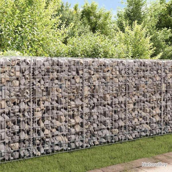 Panier de gabion Acier galvanis 120x30x100 cm