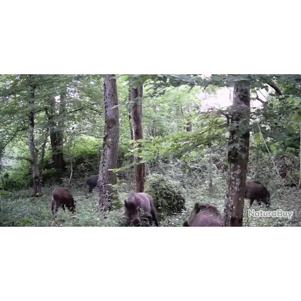 Chasse fort rgionale d'Etrechy 91580 (hameau de Fontaineliveau) cherche actionnaires et traqueurs