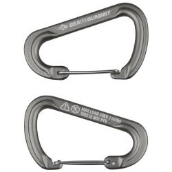 Mousqueton porte-cl&eacute;s Sea to Summit Accessory Carabiner L (lot de 2)