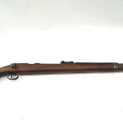 Carabine &agrave; verrou Mauser DSM 34 22LR