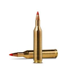 Cartouches Norma V-MAX - Cal. 17 Rem - 300 gr / 19.4 g / Par 1