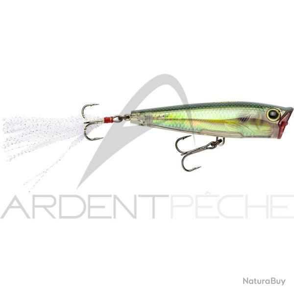 Poisson nageur YO ZURI 3DR Popper 75 RGZS Gizzard shad