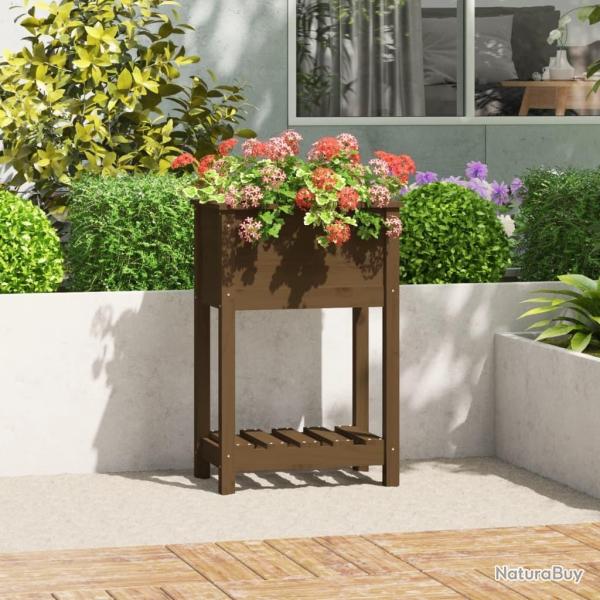 Jardinire avec tagre Marron miel 54x34,5x81 cm Bois de pin