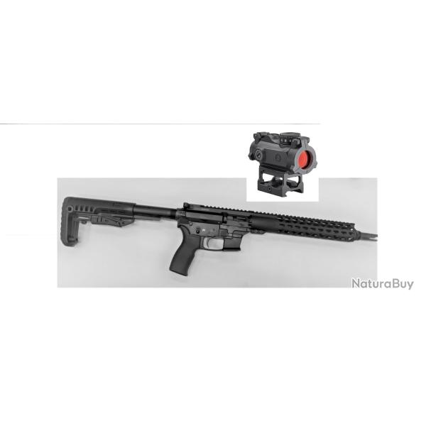 Pack CARABINE LEGACY ARMAMENT AR-9 Cal.9mm  CANON 8"+Point rouge SIG Sauer ROMEO MSR 1x20mm SIROMEOM