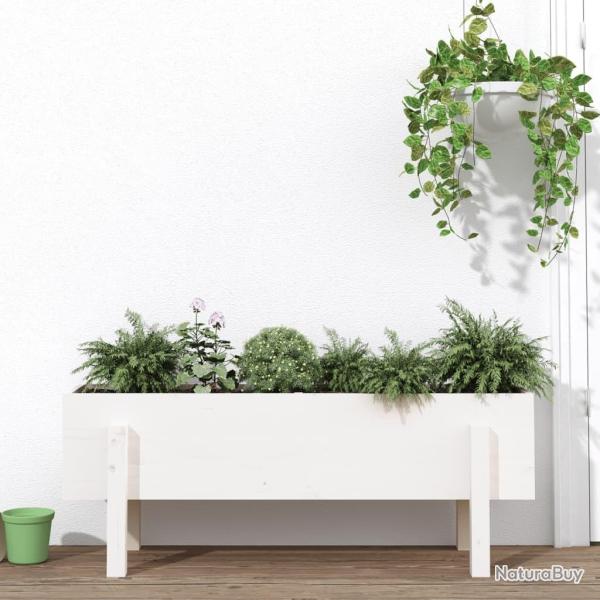 Lit sur�lev� de jardin blanc 101x30x38 cm bois de pin massif