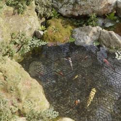 Protection d'&eacute;tang 40 pcs Noir Polypropyl&egrave;ne