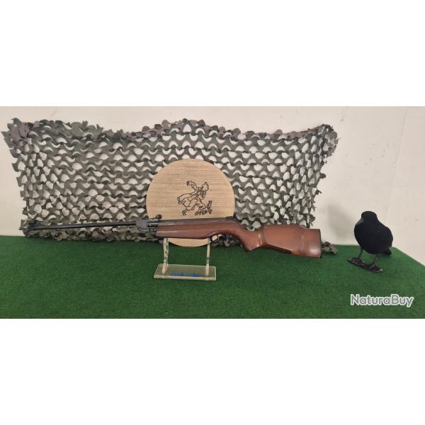 Carabine Gamo 4,5mm 10 joules mod�le EXPO